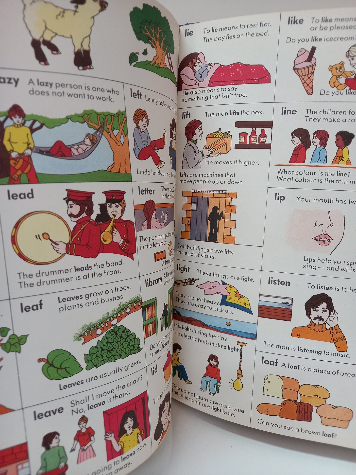 The children's picture dictionary