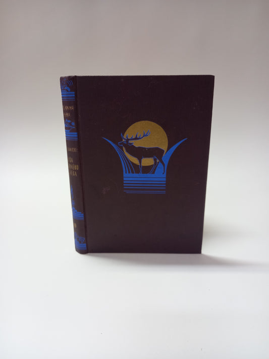 Duša moderného človeka