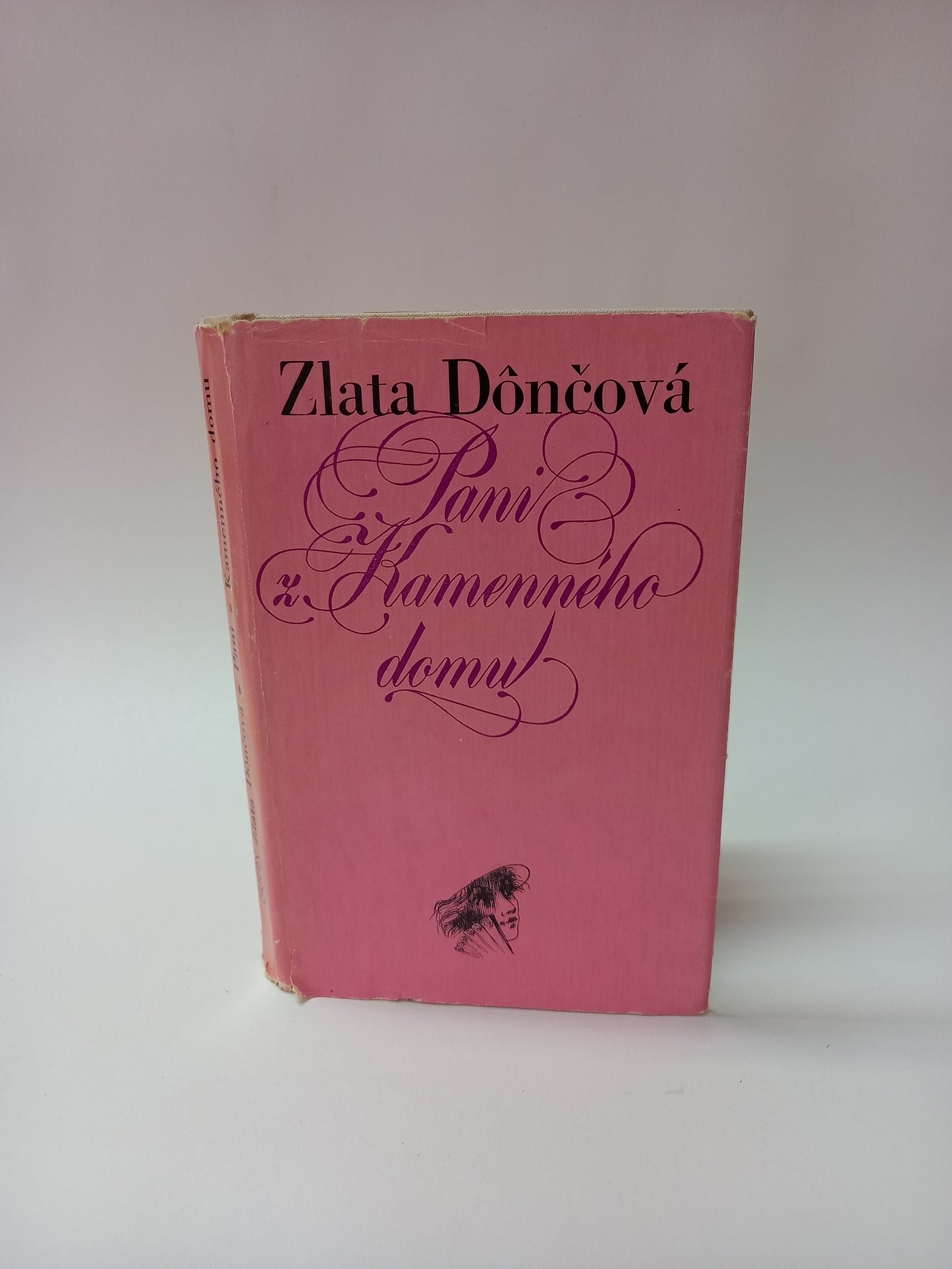 Pani z Kamenného domu