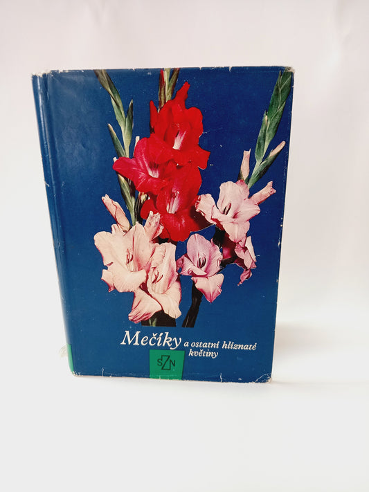 Mečíky a ostatní hlíznaté květiny