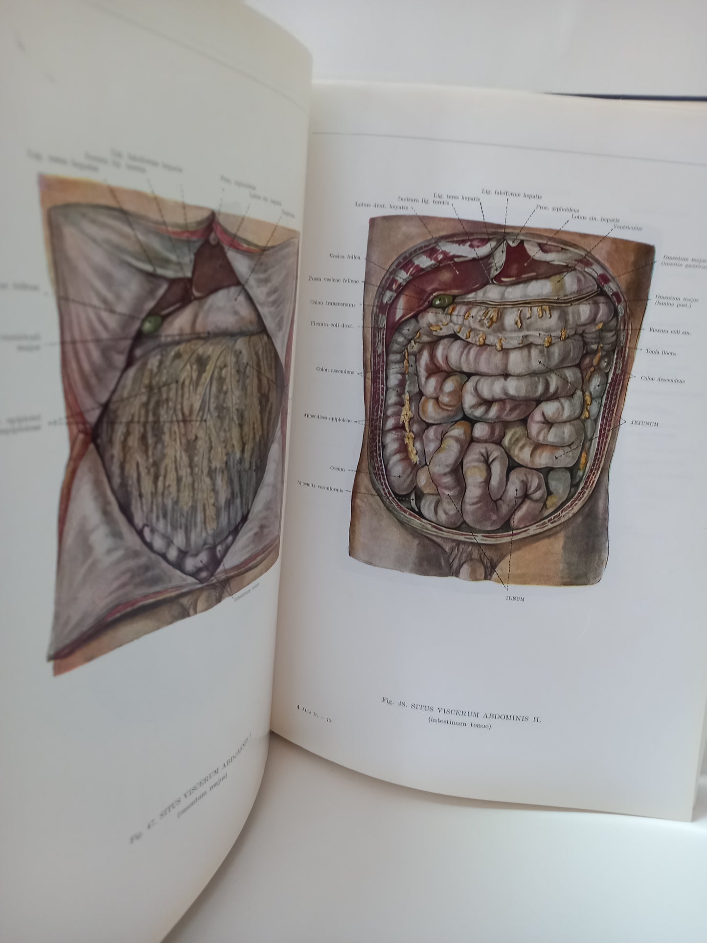 Atlas anatómie človeka II