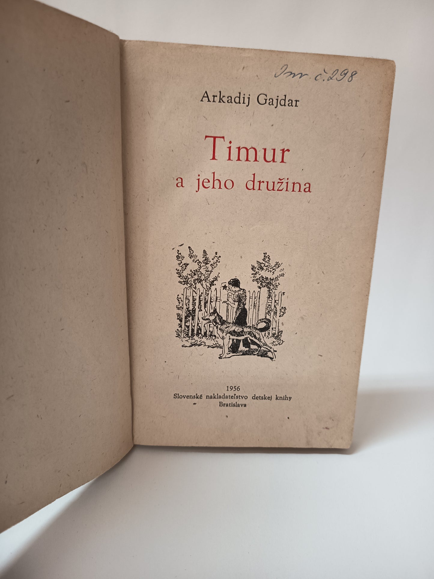 Timur a jeho družina