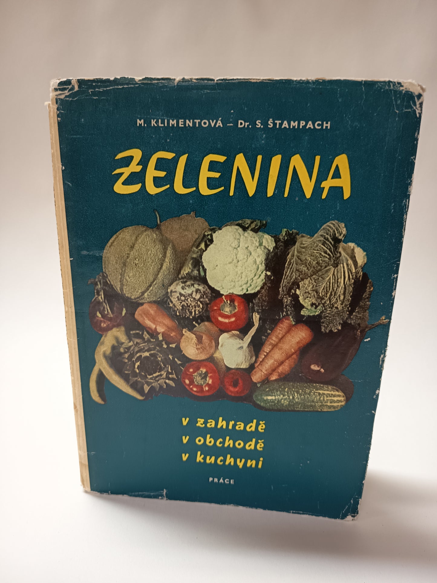 Zelenina v záhradě v obchodě v kuchyni