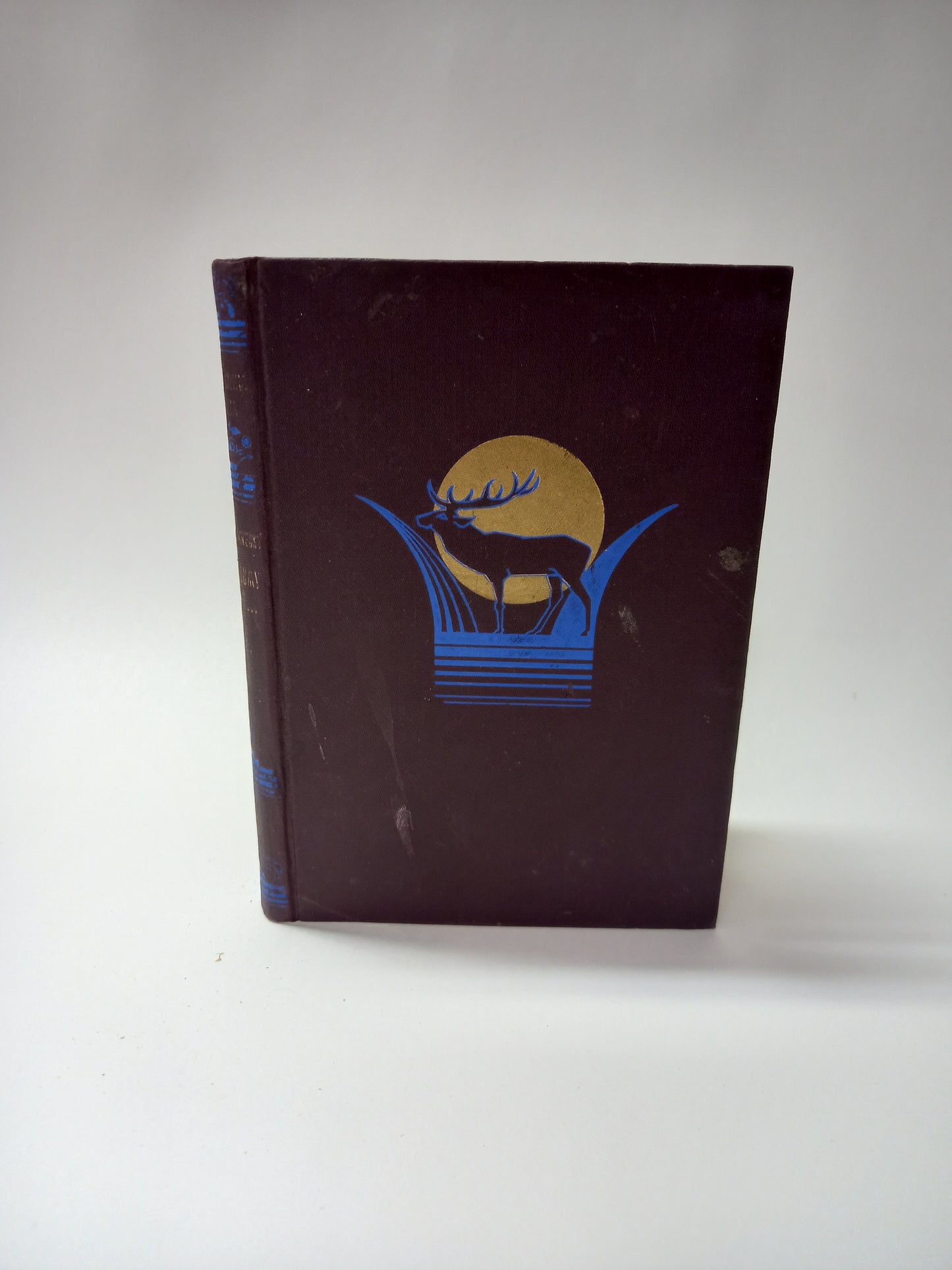 Keď rumy ožijú I.