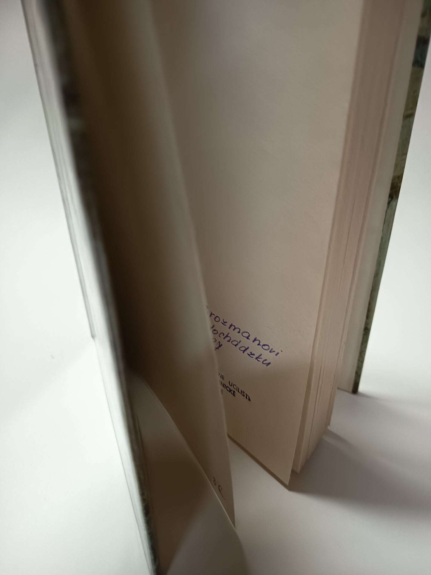 Dante a jeho storočie