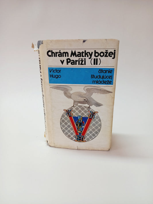 Chrám Matky božej v Paríži II