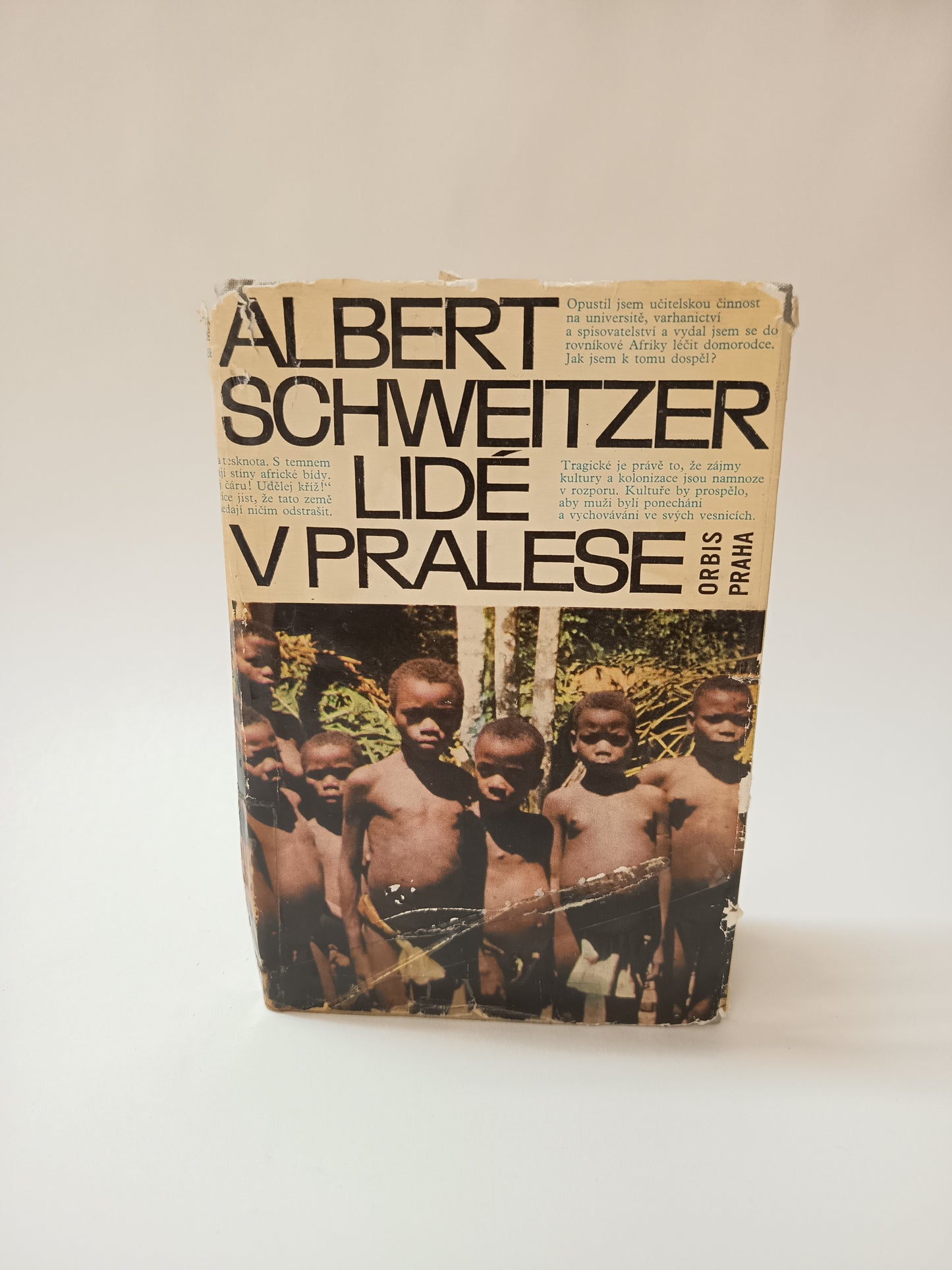 Lidé v pralese