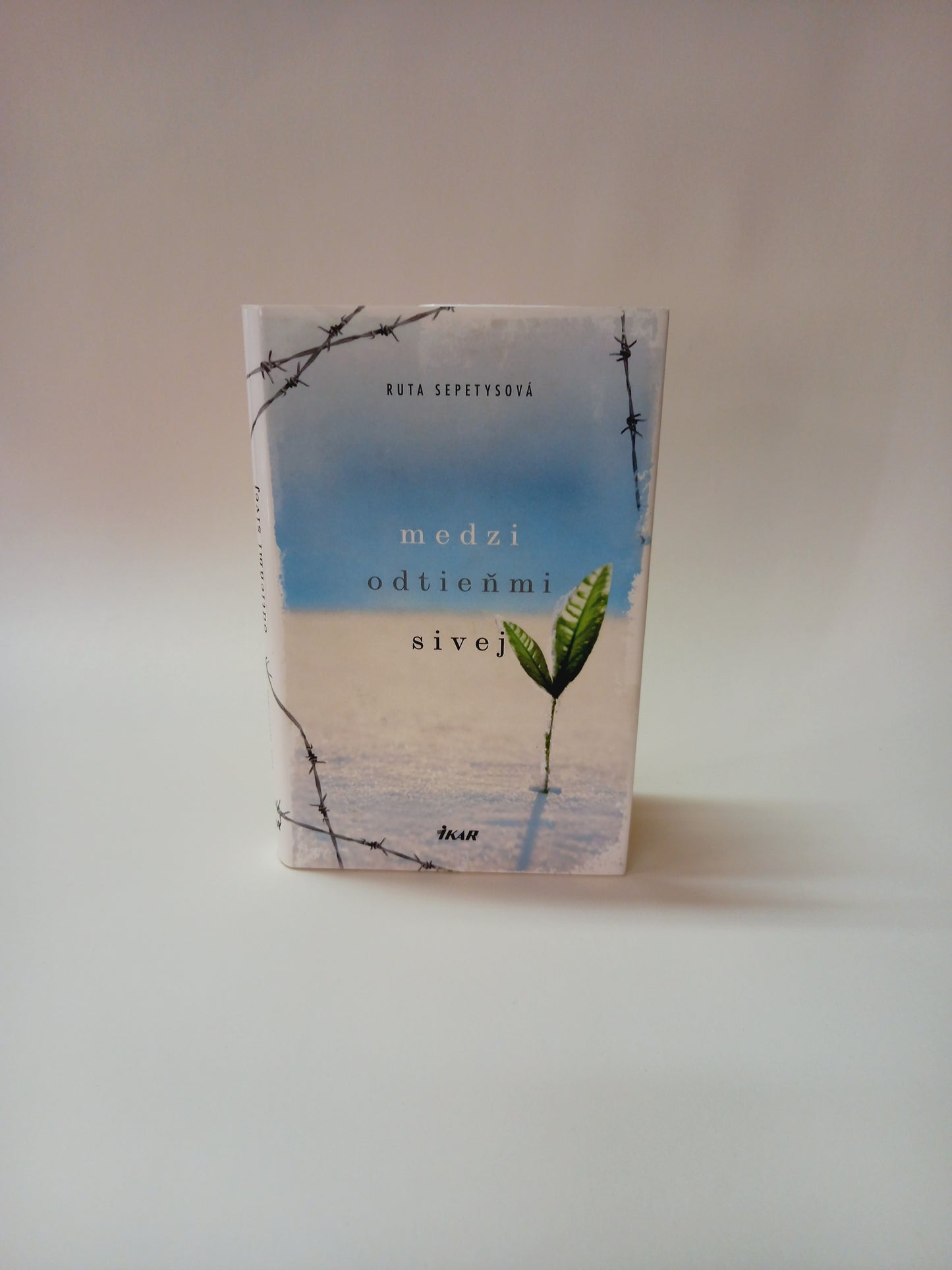 Medzi odtieňmi sivej