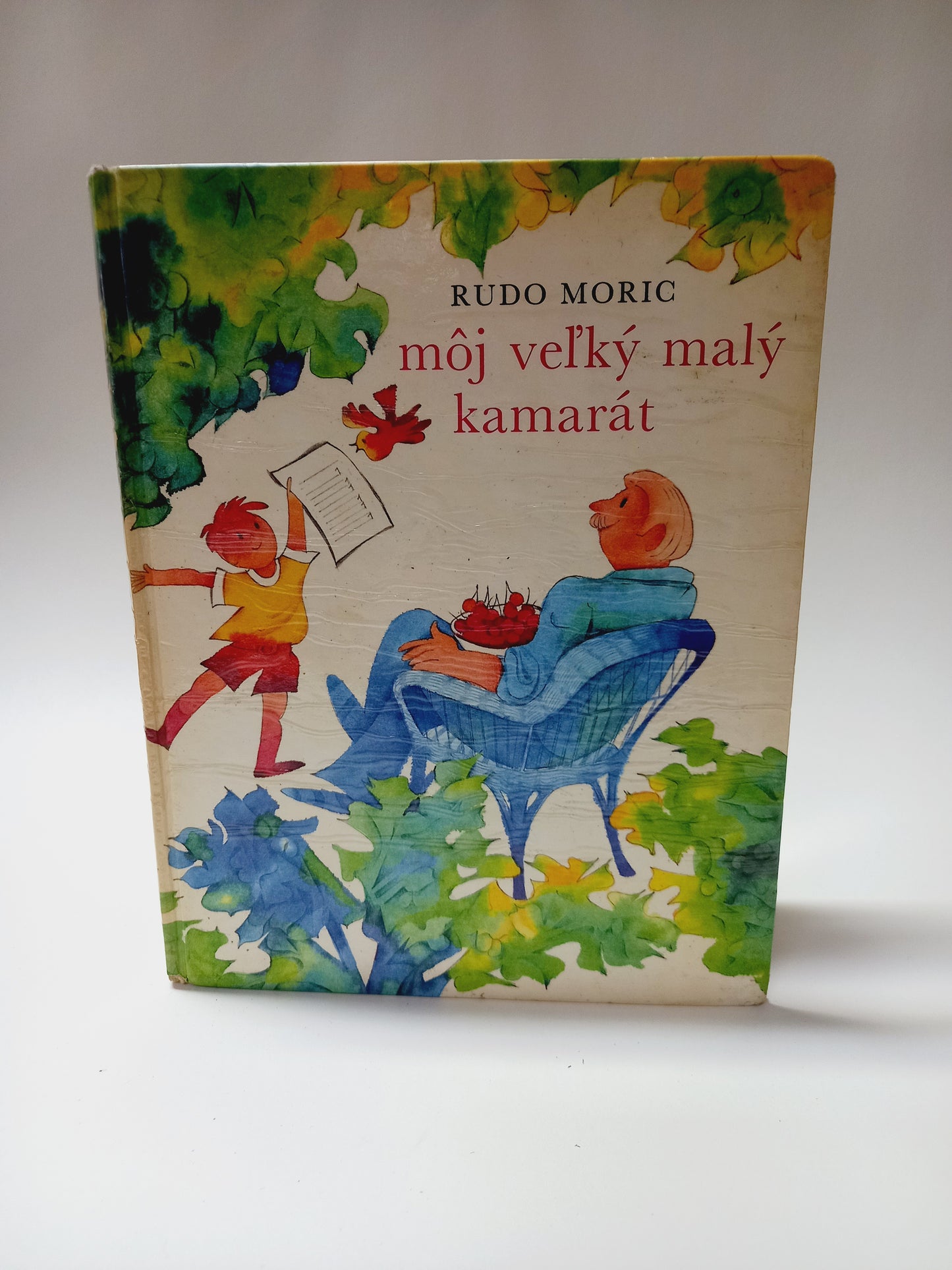 Môj veľký malý kamarát