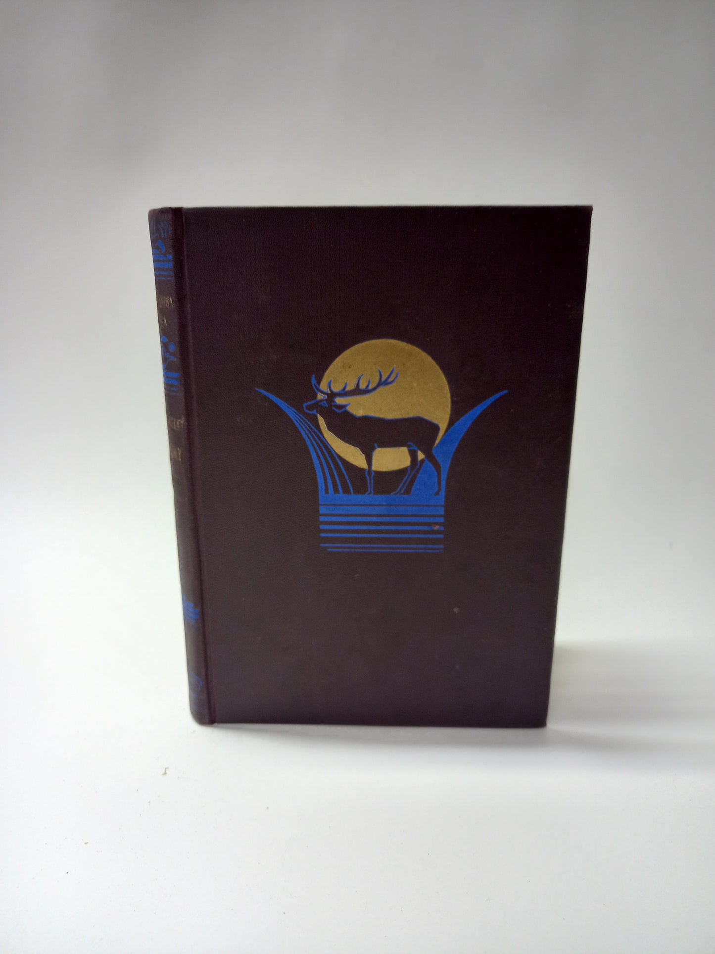 Keď rumy ožijú II.