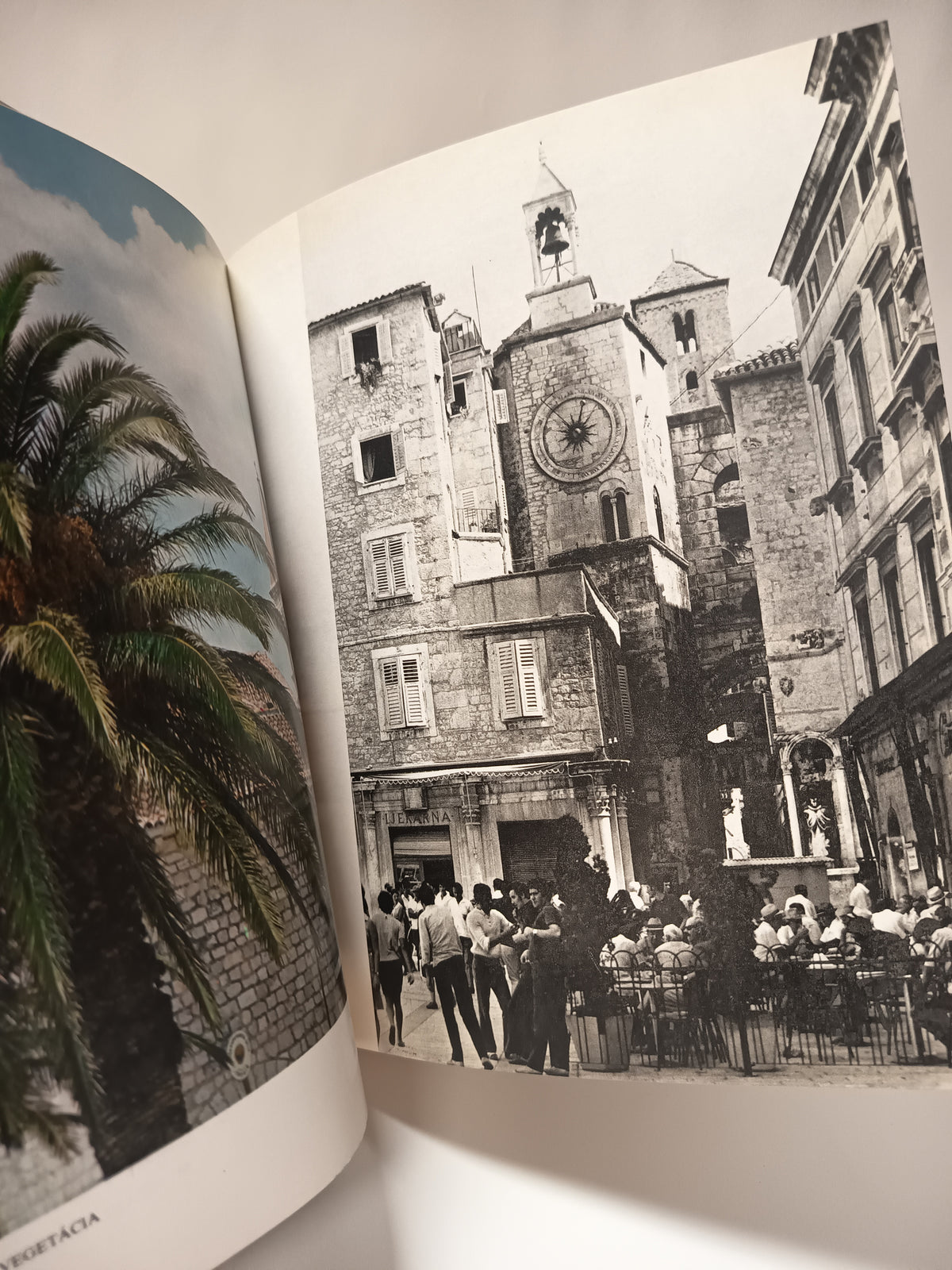 Jadran
