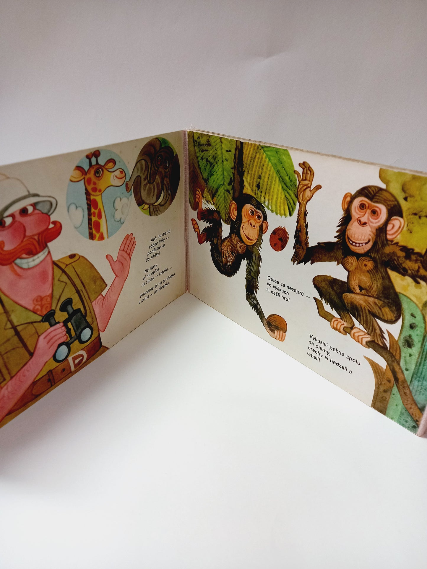 Pozrime sa do Afriky