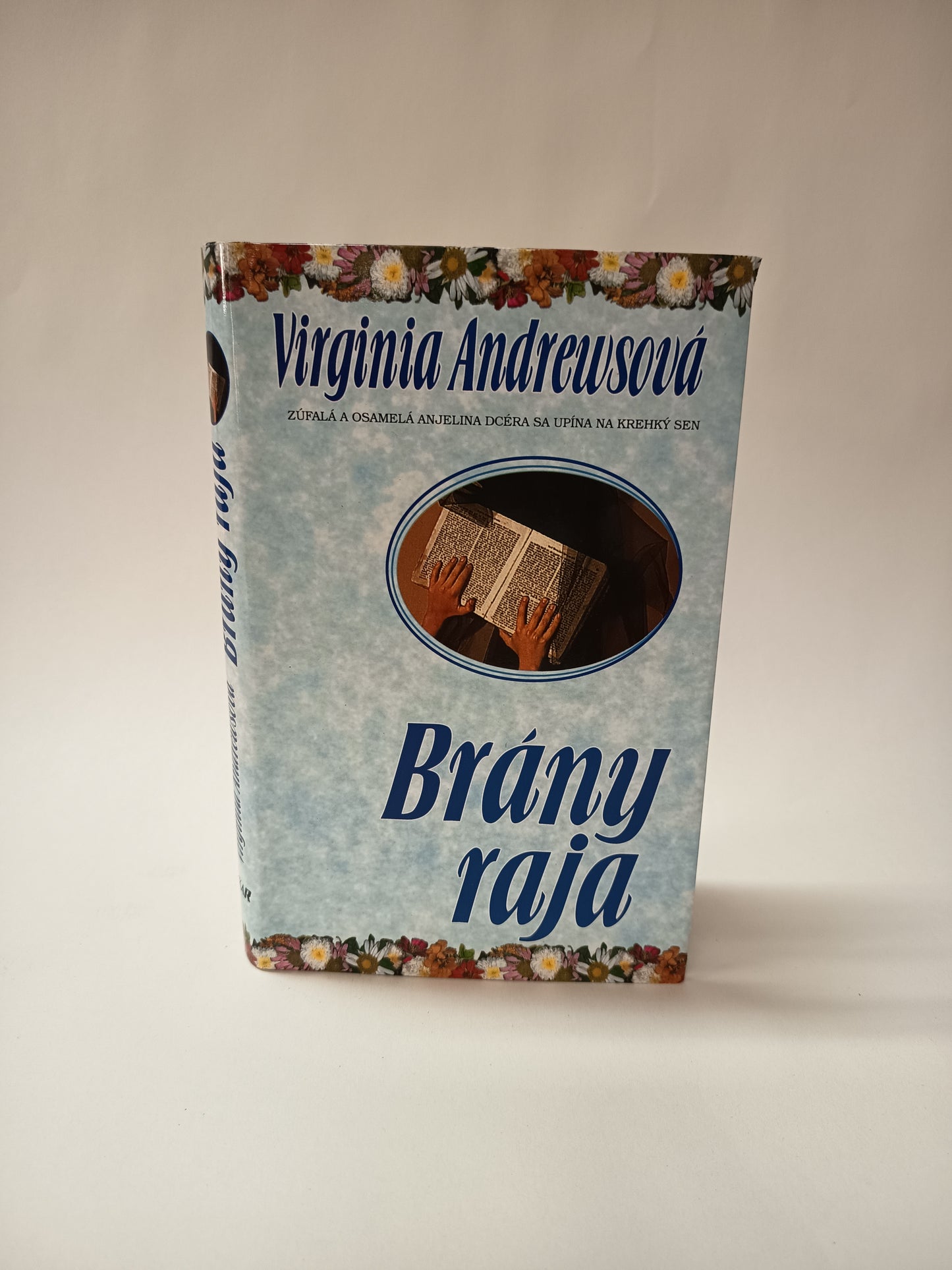 Brány raja