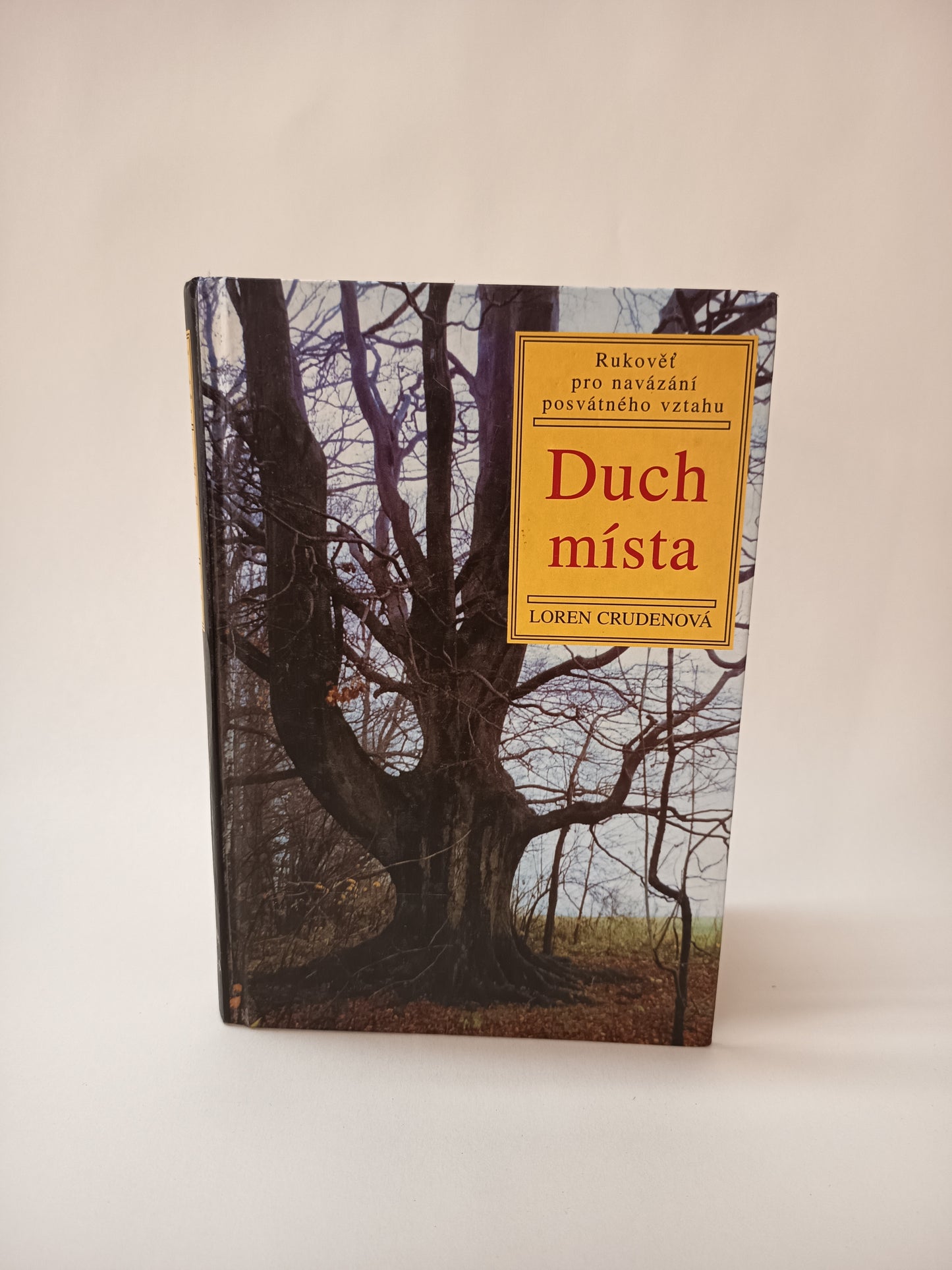 Duch místa