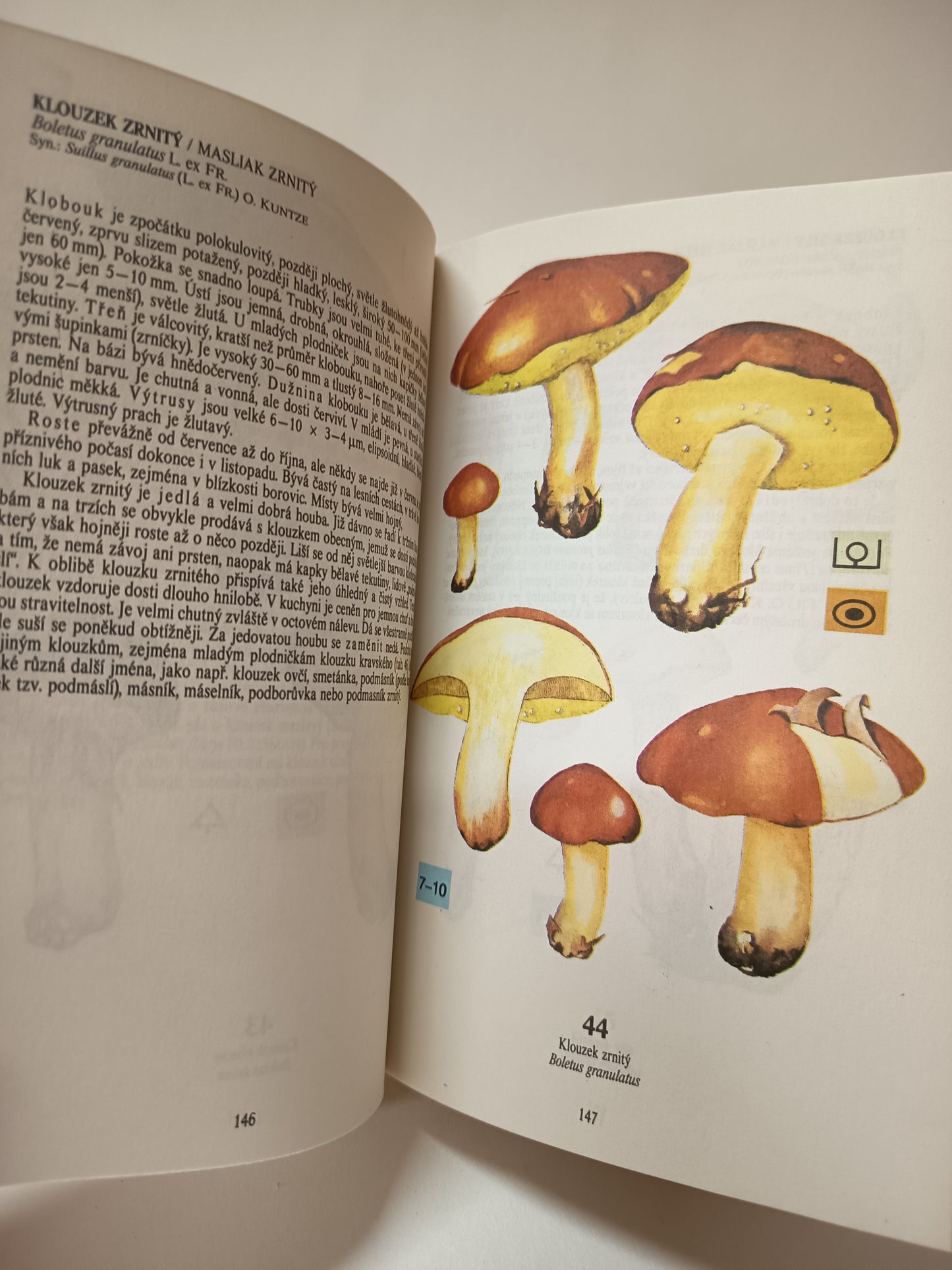 Atlas tržních a jedovatých hub