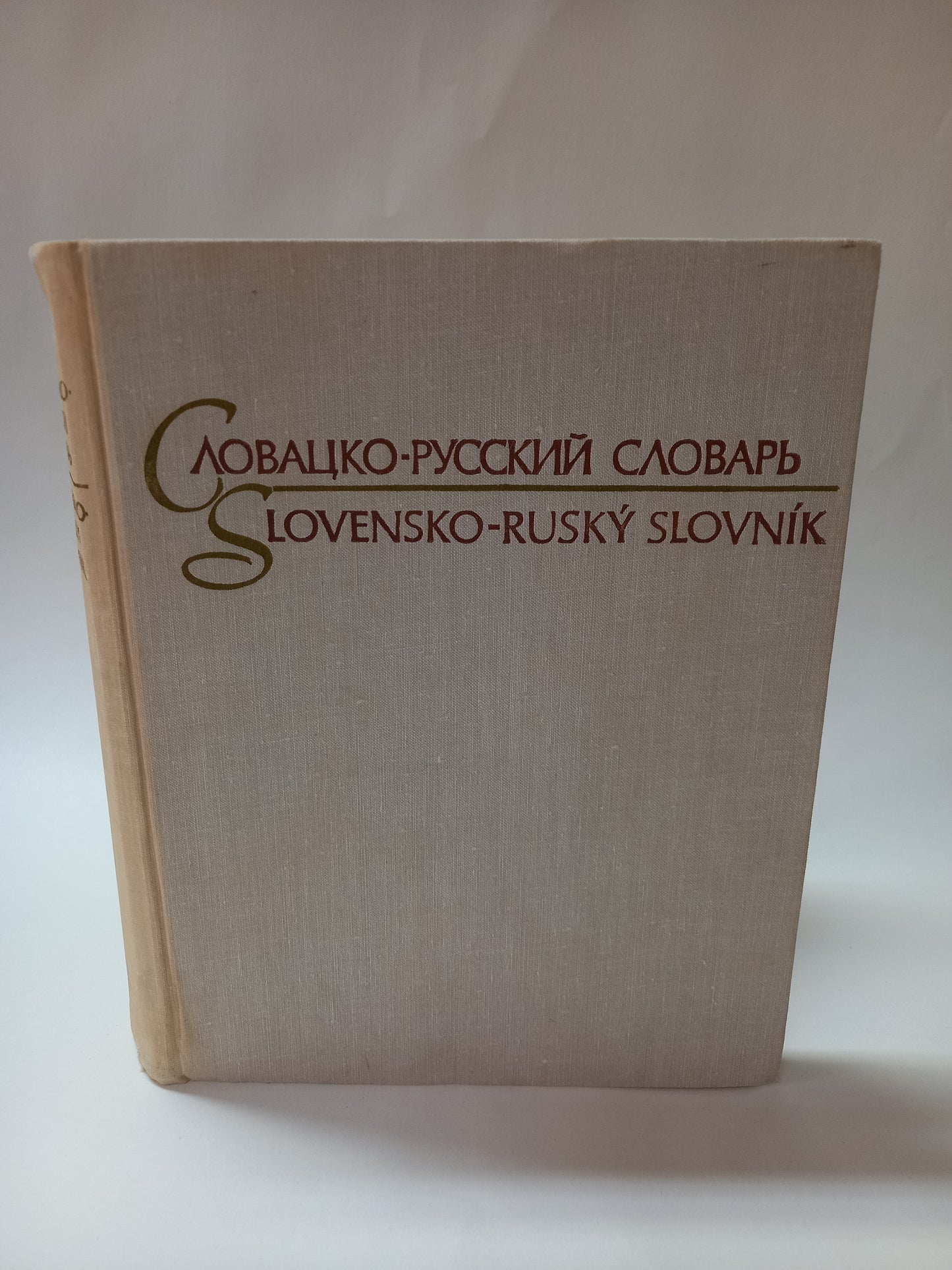 Slovensko-ruský slovník