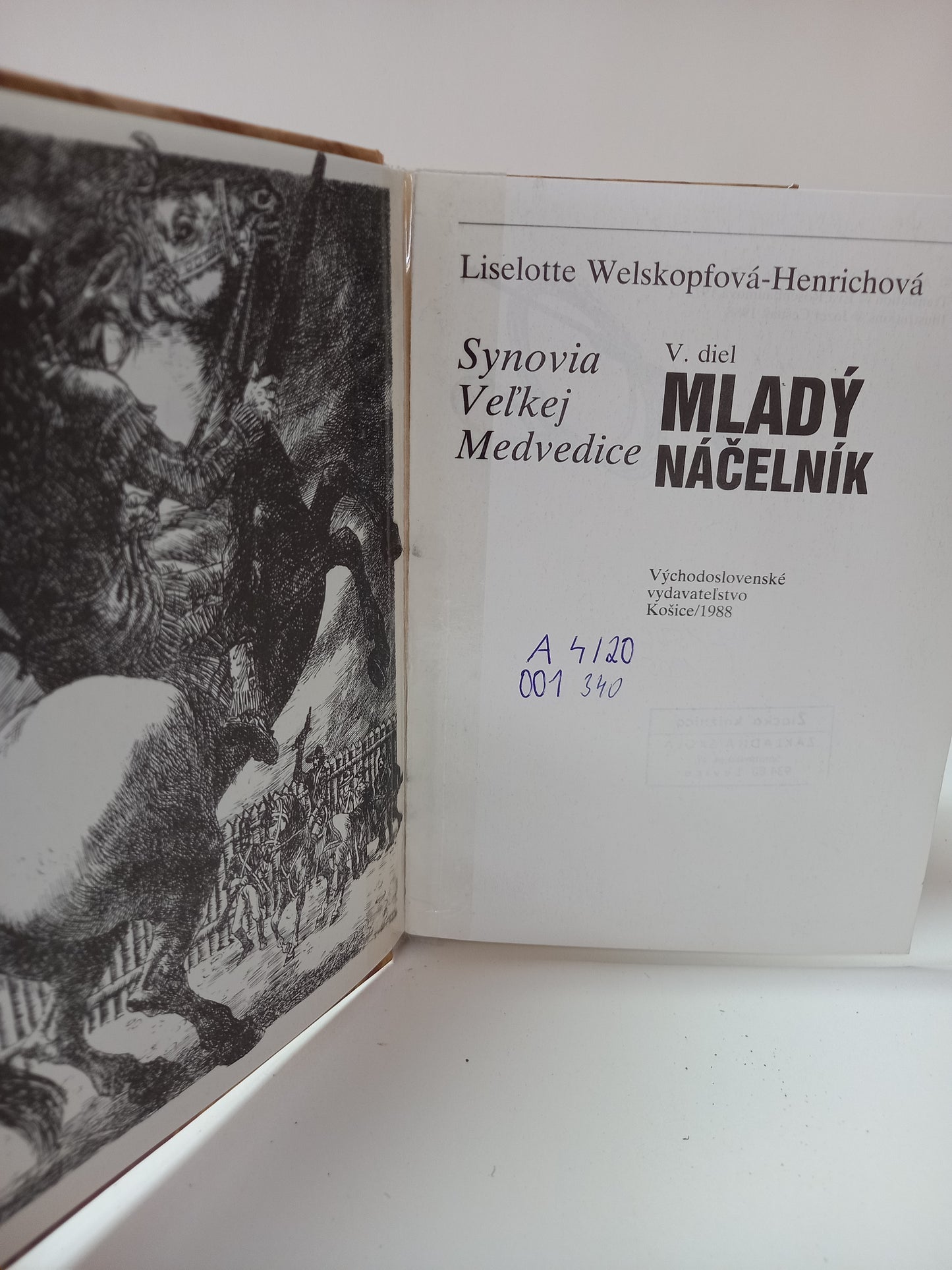 Synovia Veľkej Medvedice 5. - Mladý náčelník