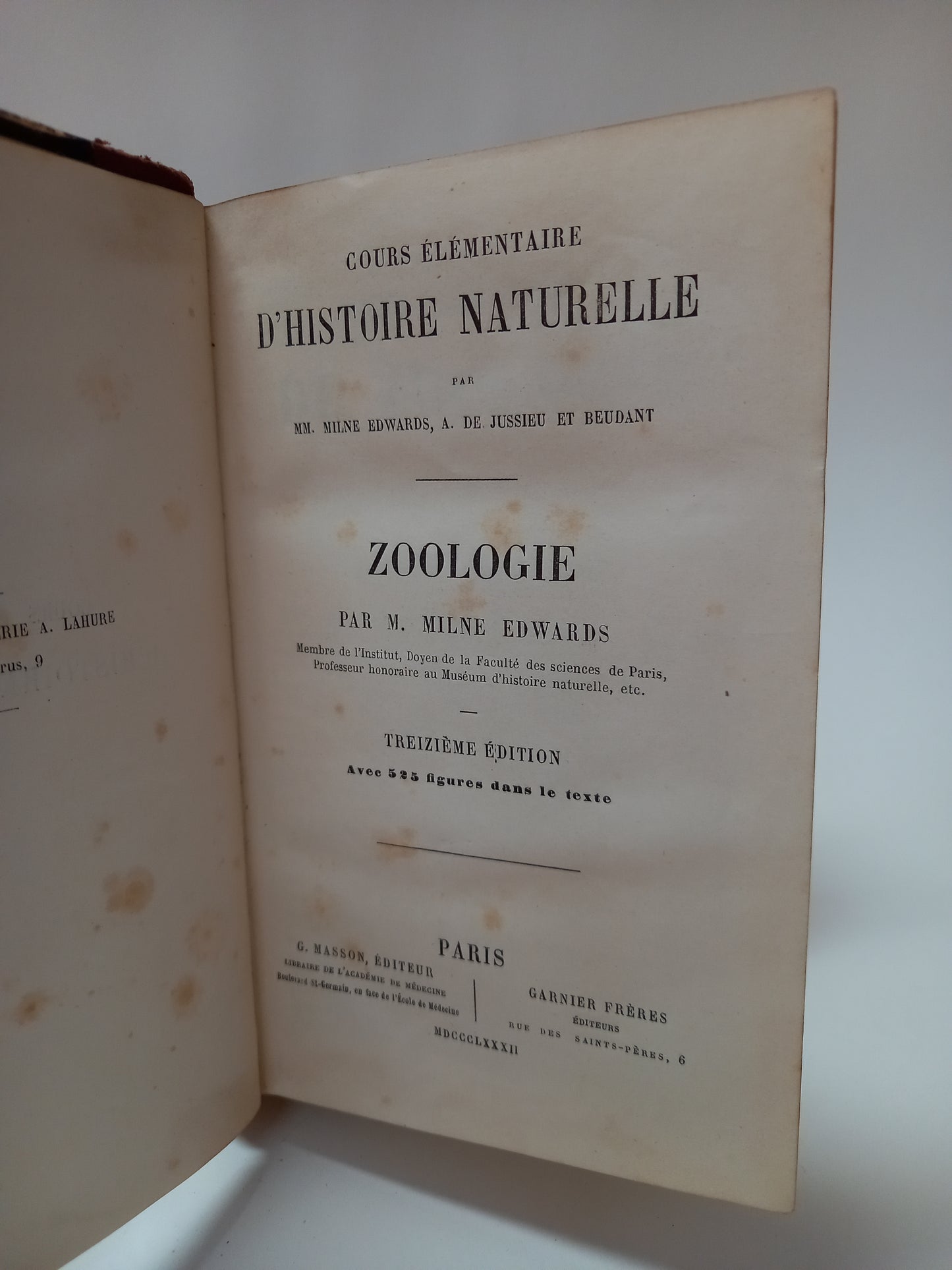 Zoologie