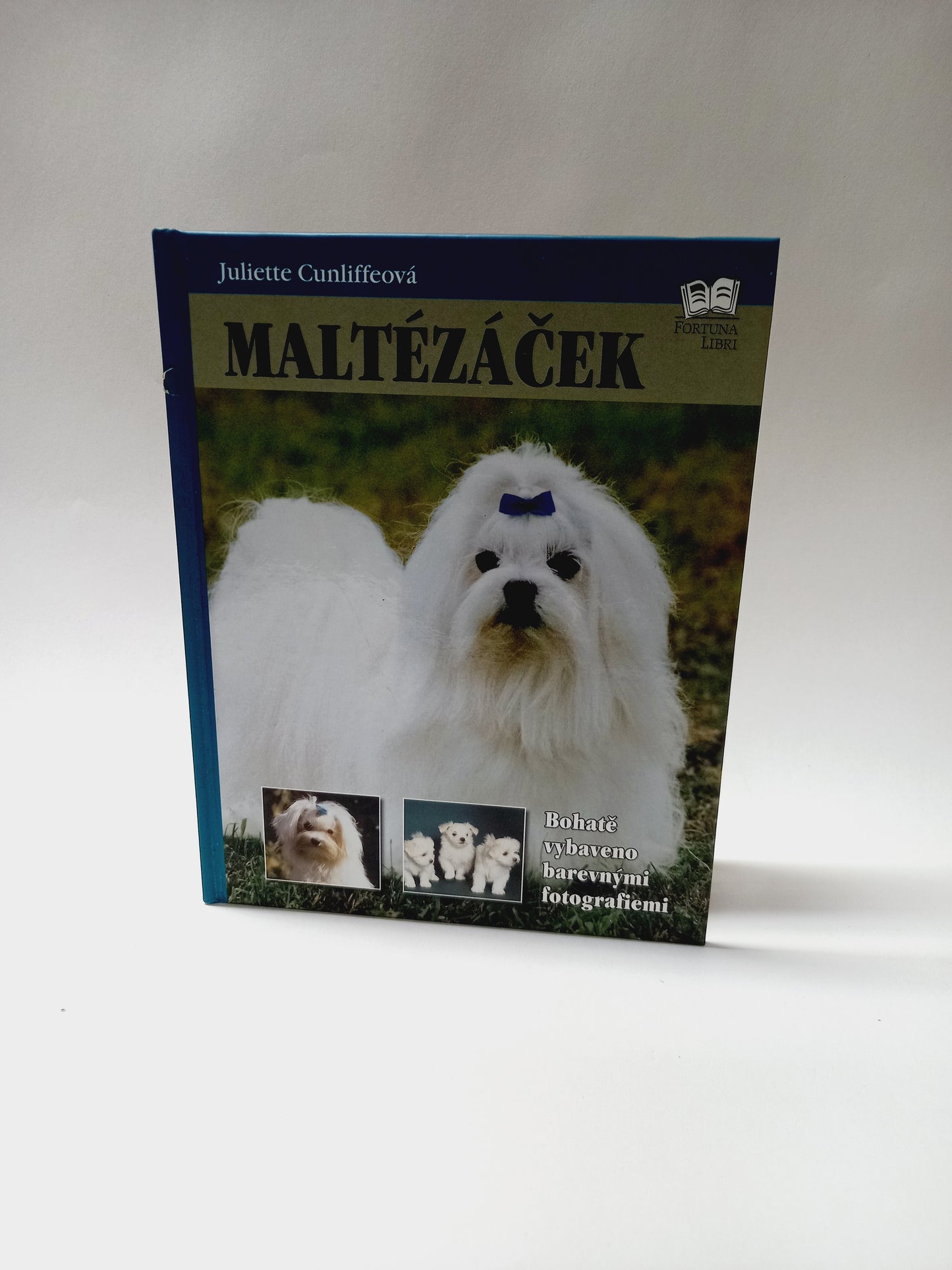Maltézáček