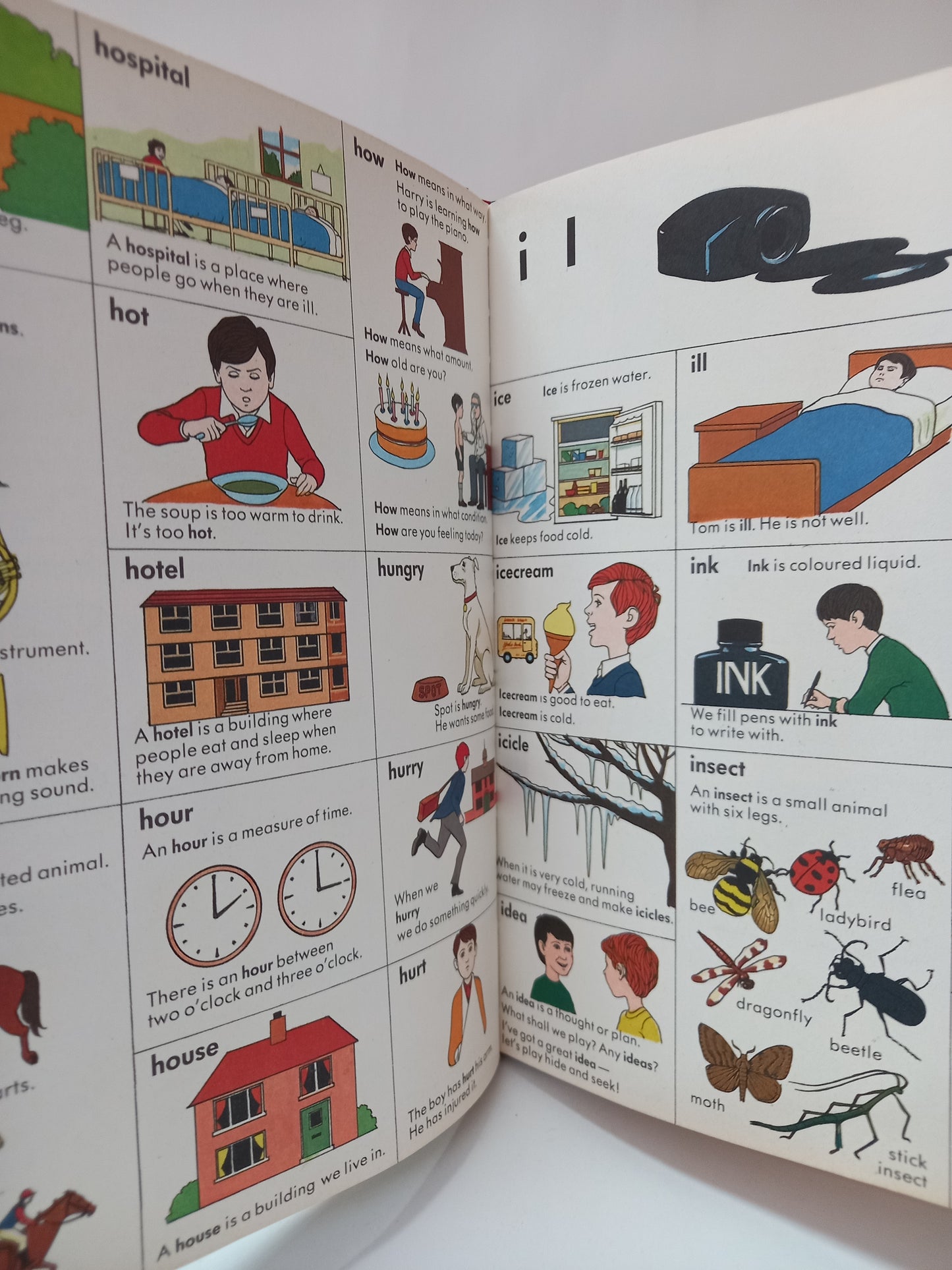 The children's picture dictionary