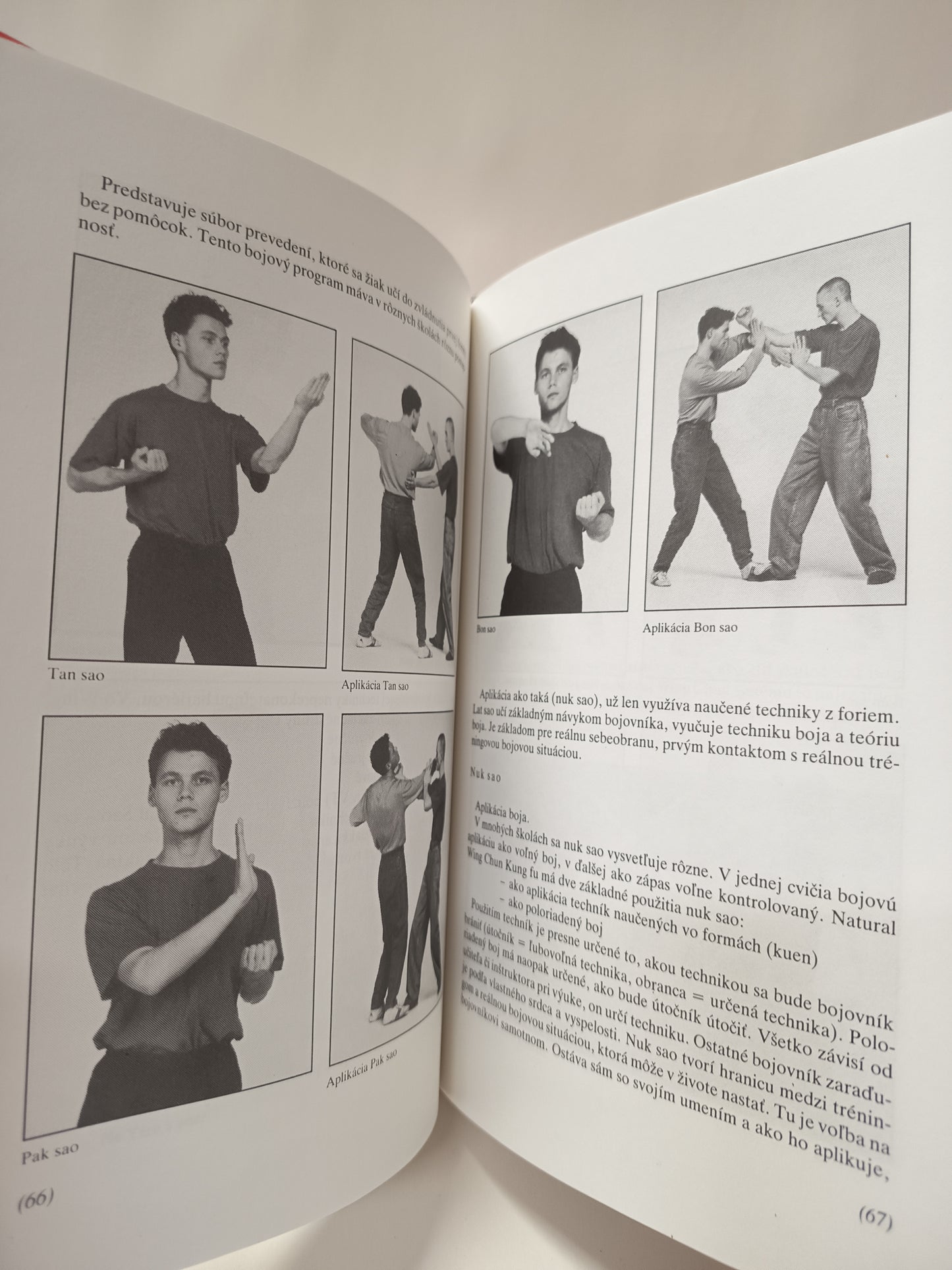 Natural Wing Chun Kung Fu
