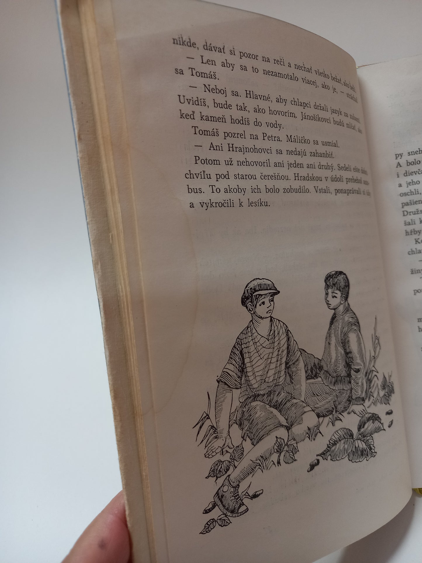 Červená šatka, biely mak