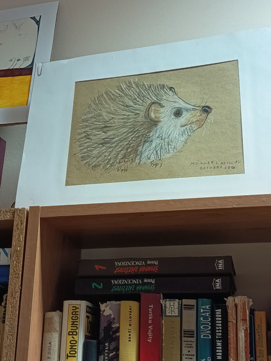 Výstava výtvarných prác v Knihárstve EVA!