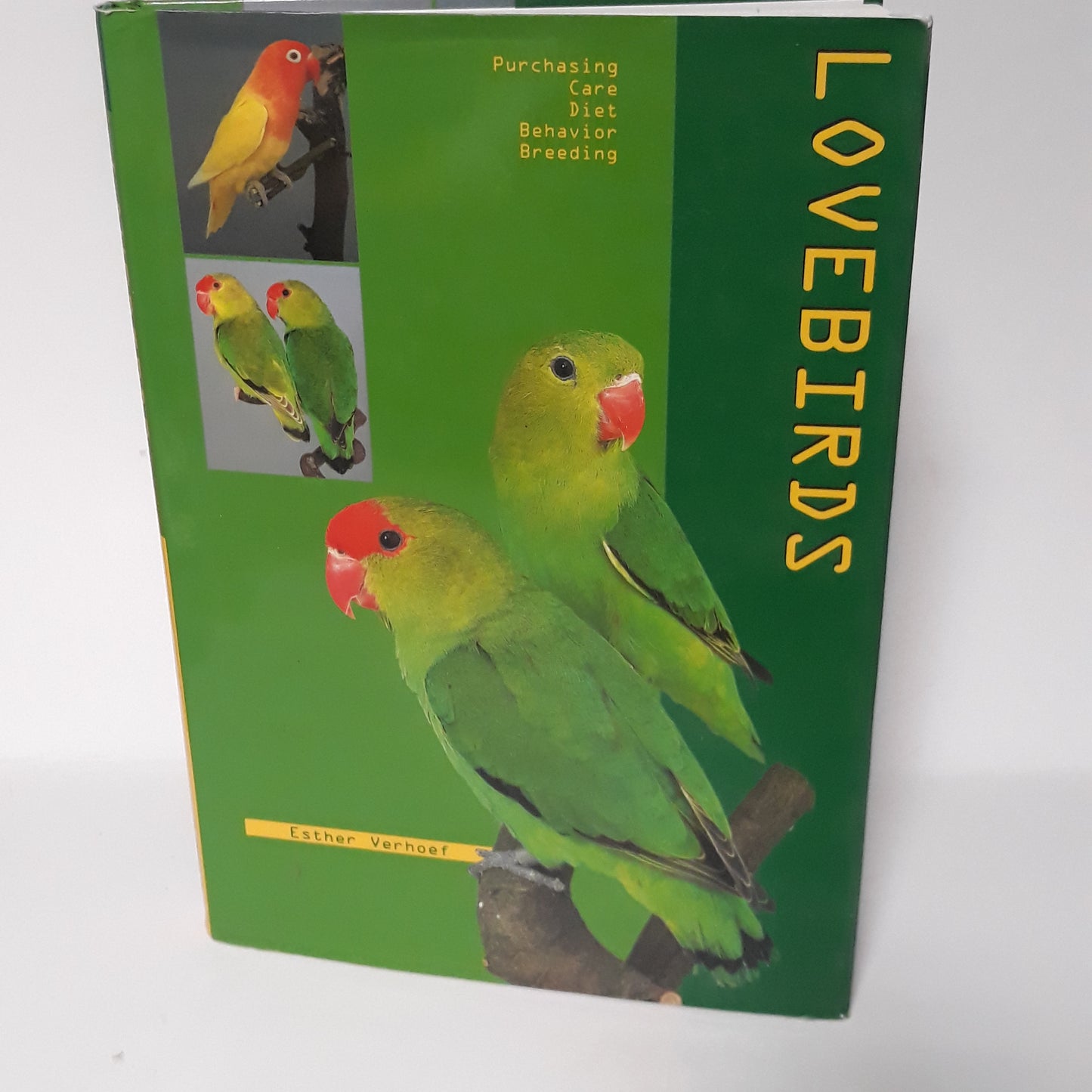 Lovebirds