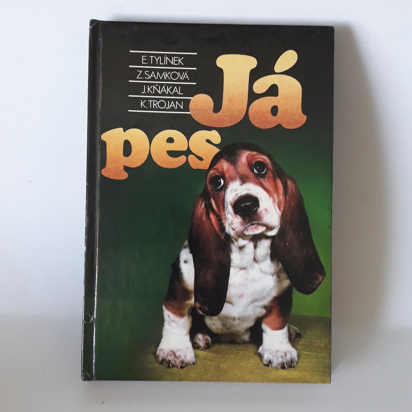 Já, pes