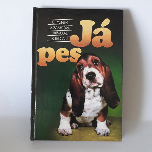 Já, pes
