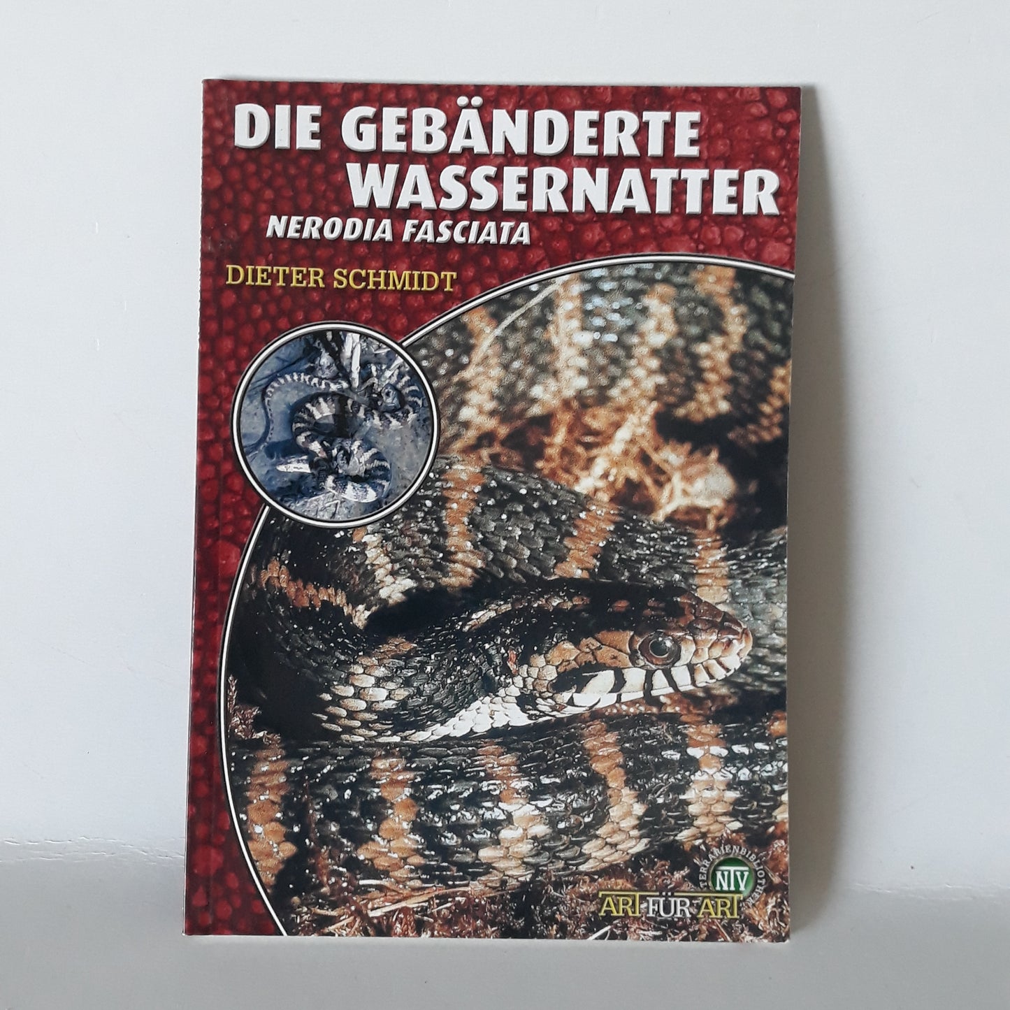 Die gebänderte wassernatter