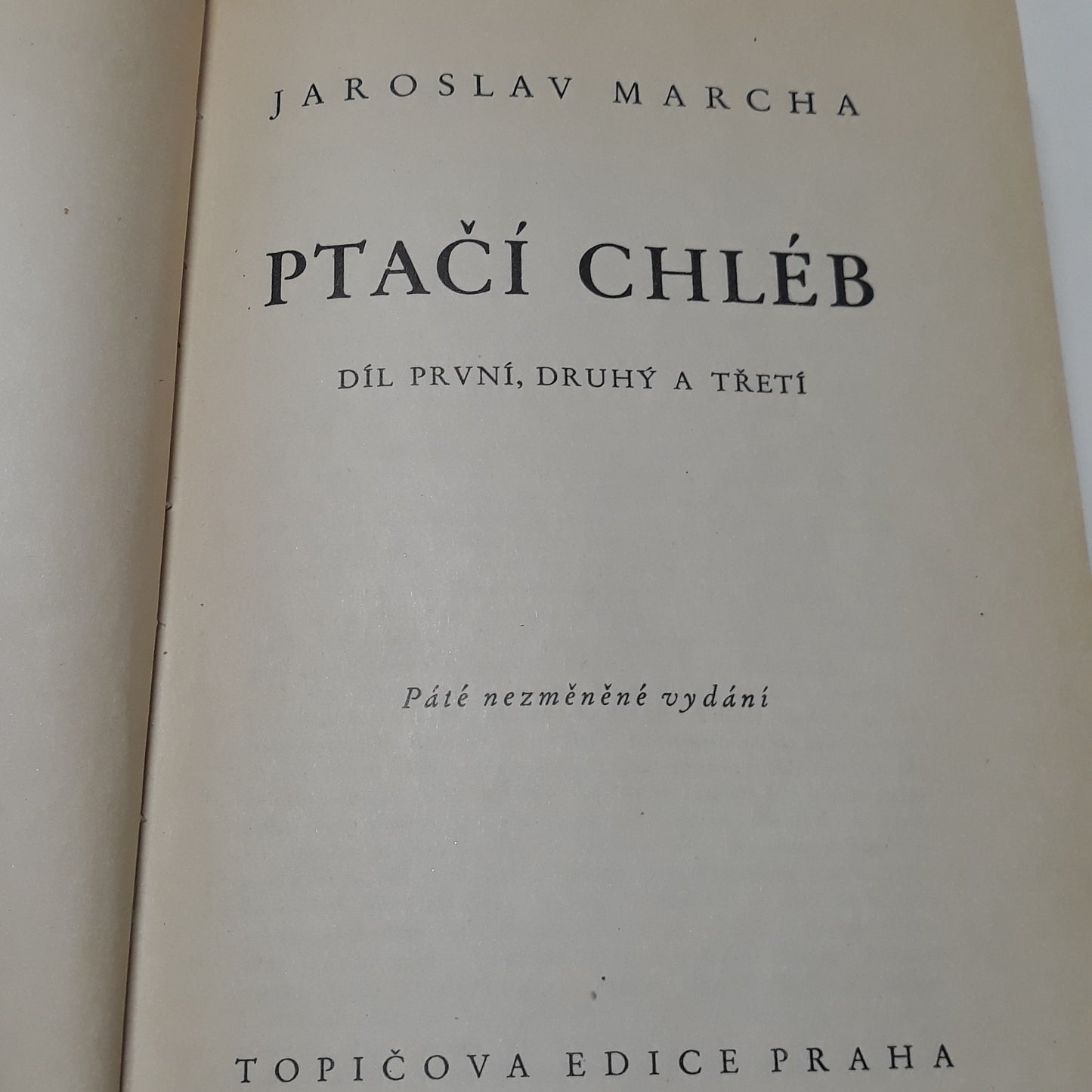 Ptačí chléb