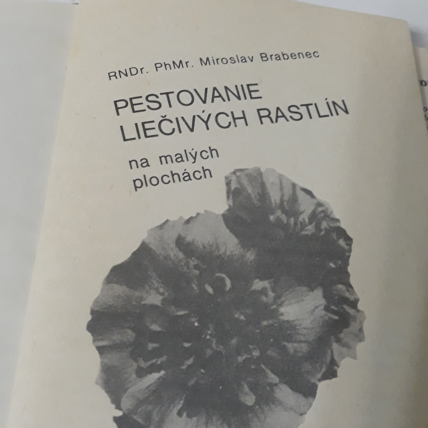 Pestovanie liečivých rastlín na malých plochách