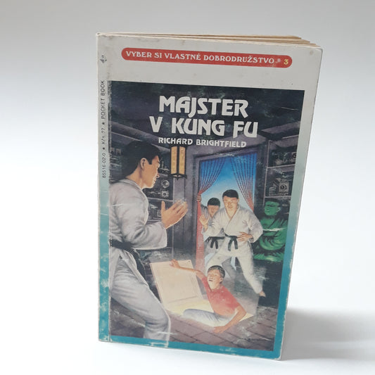 Majster v kung-fu