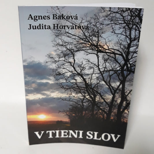 V tieni slov