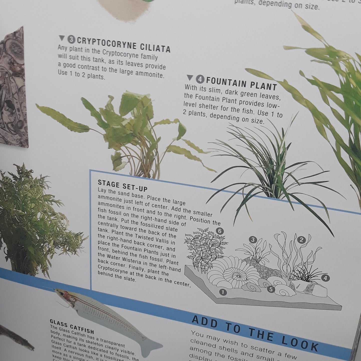 Aquarium style