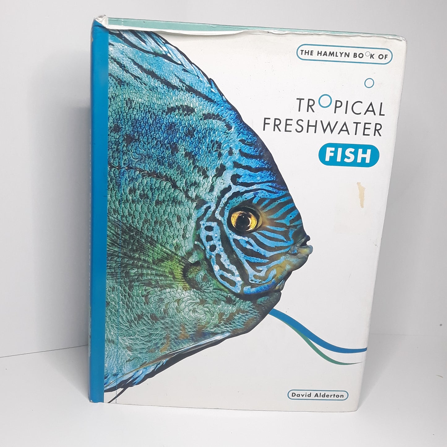 Tropical freshwater fish