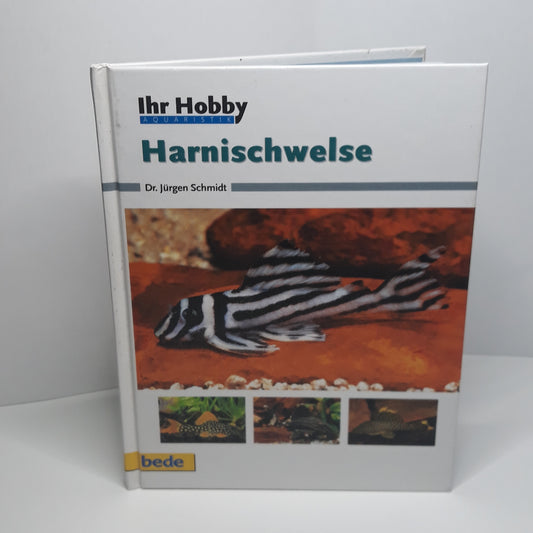 Harnischwelse
