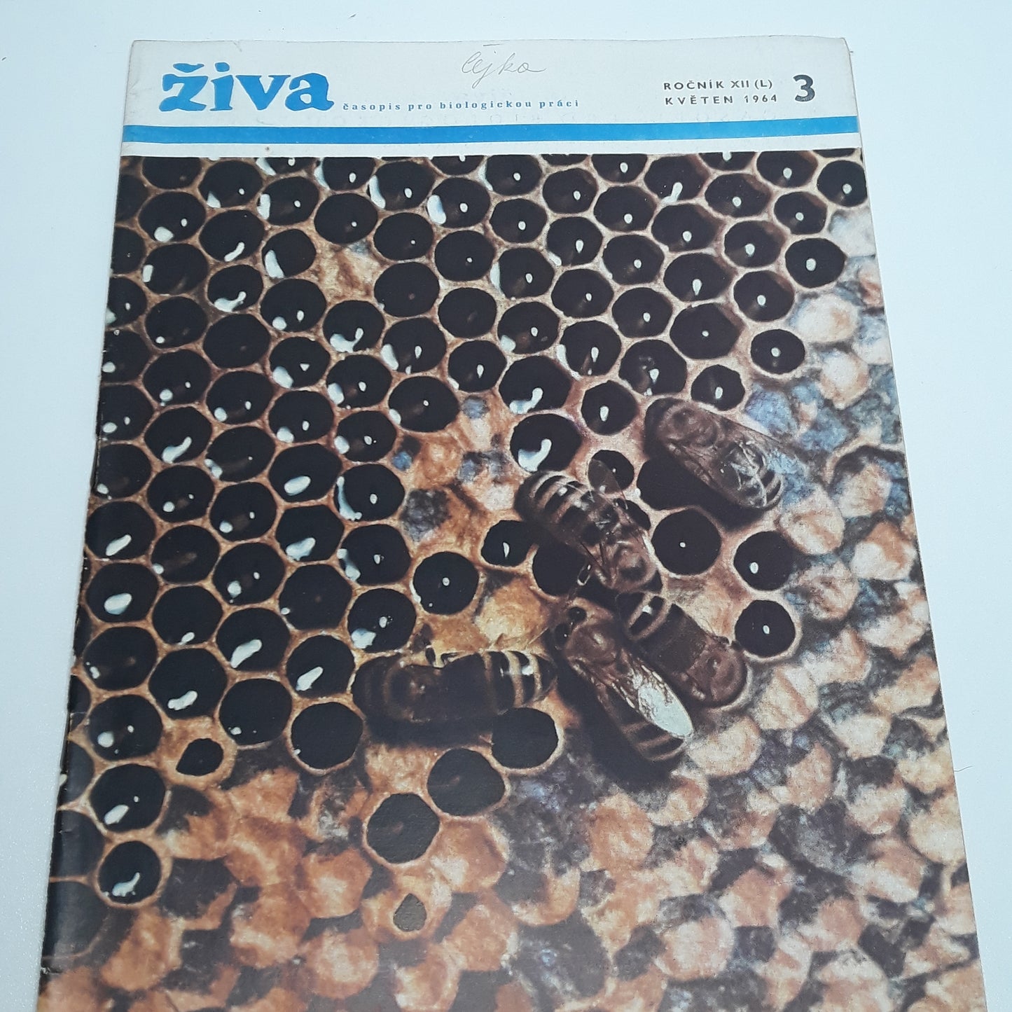 Živa 3/1964