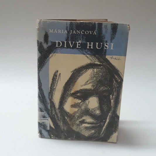 Divé husi