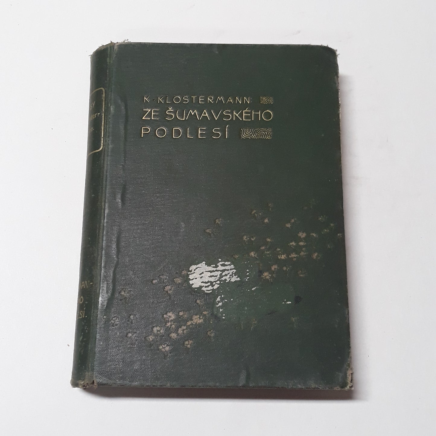 Ze šumavského podlesí