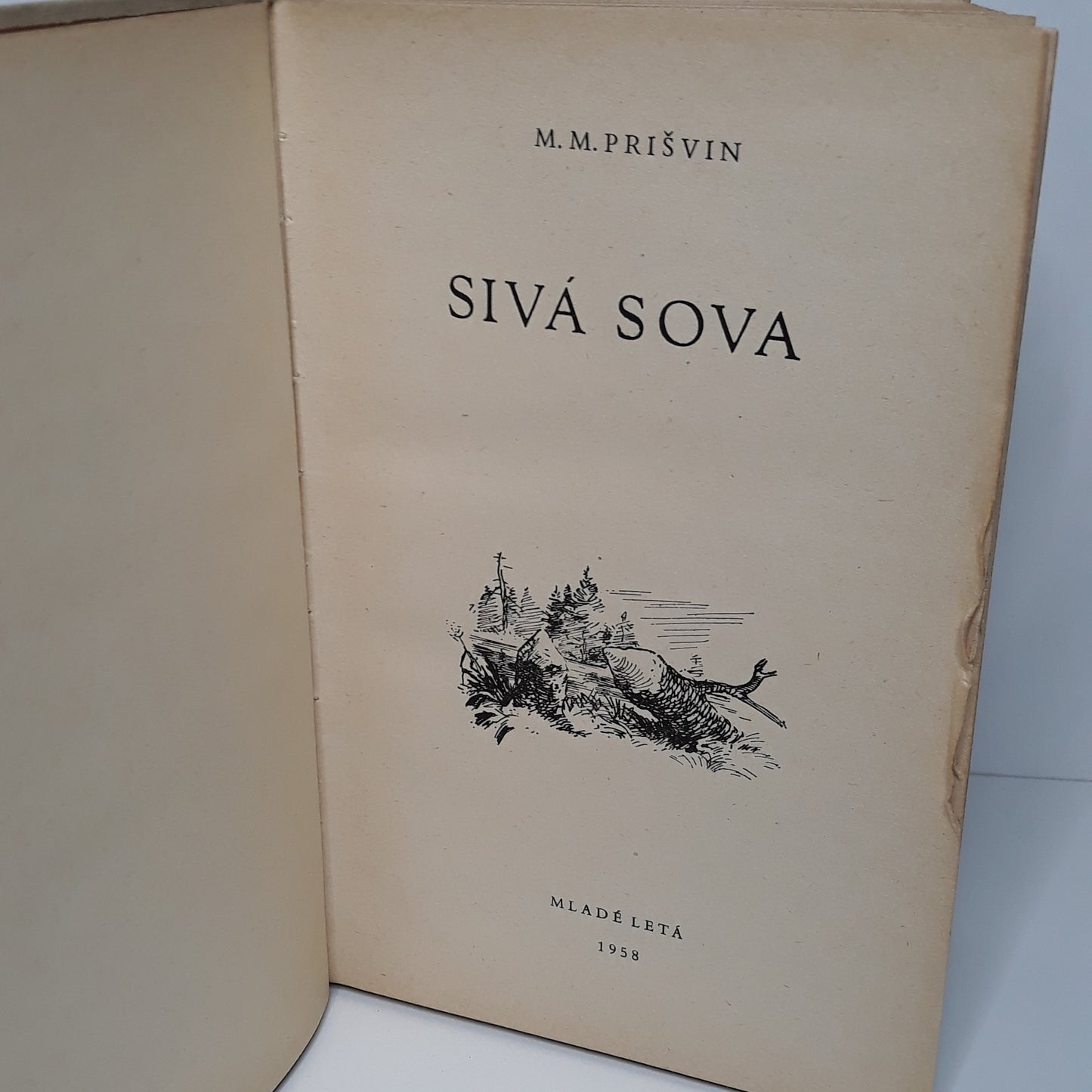 Sivá Sova