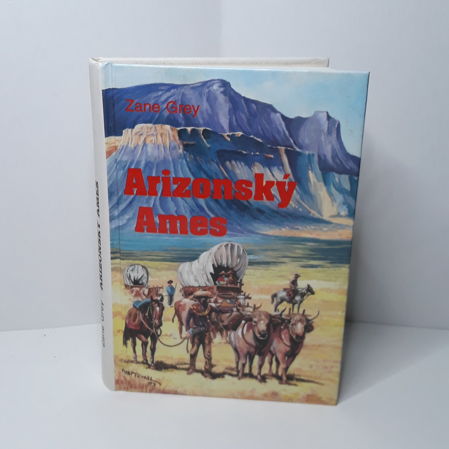 Arizonský Ames