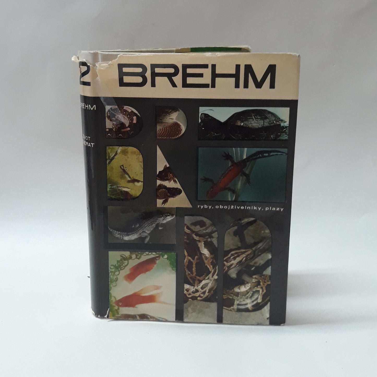 Brehm 2 - život zvierat  -ryby, obojživelníky, plazy