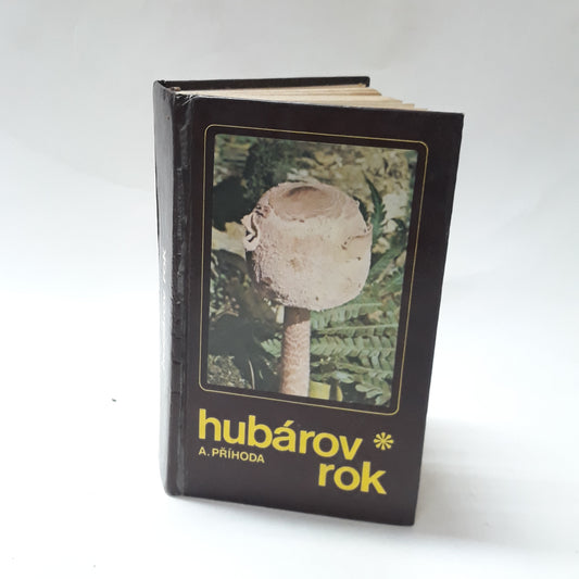 Hubárov rok
