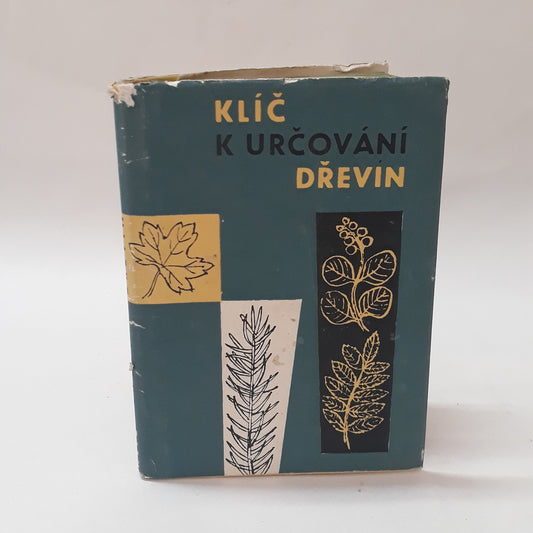 Klíč k určování dřevin