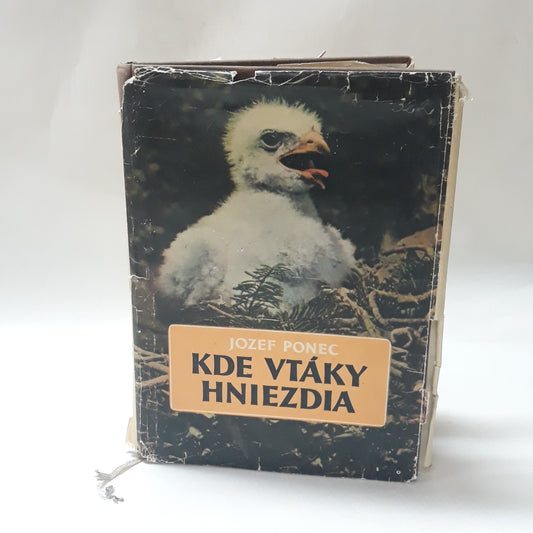 Kde vtáky hniezdia