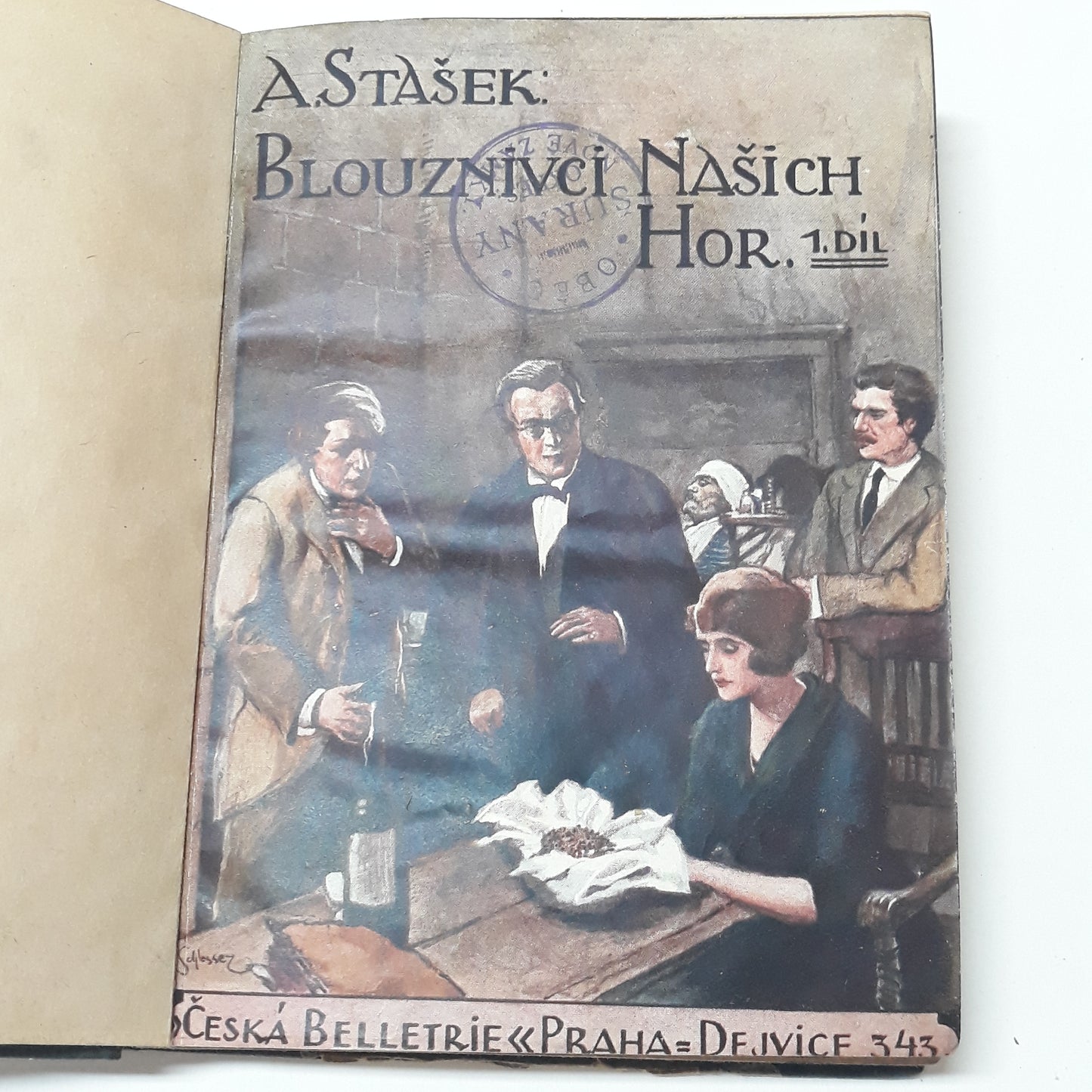 Blouznivci našich hor