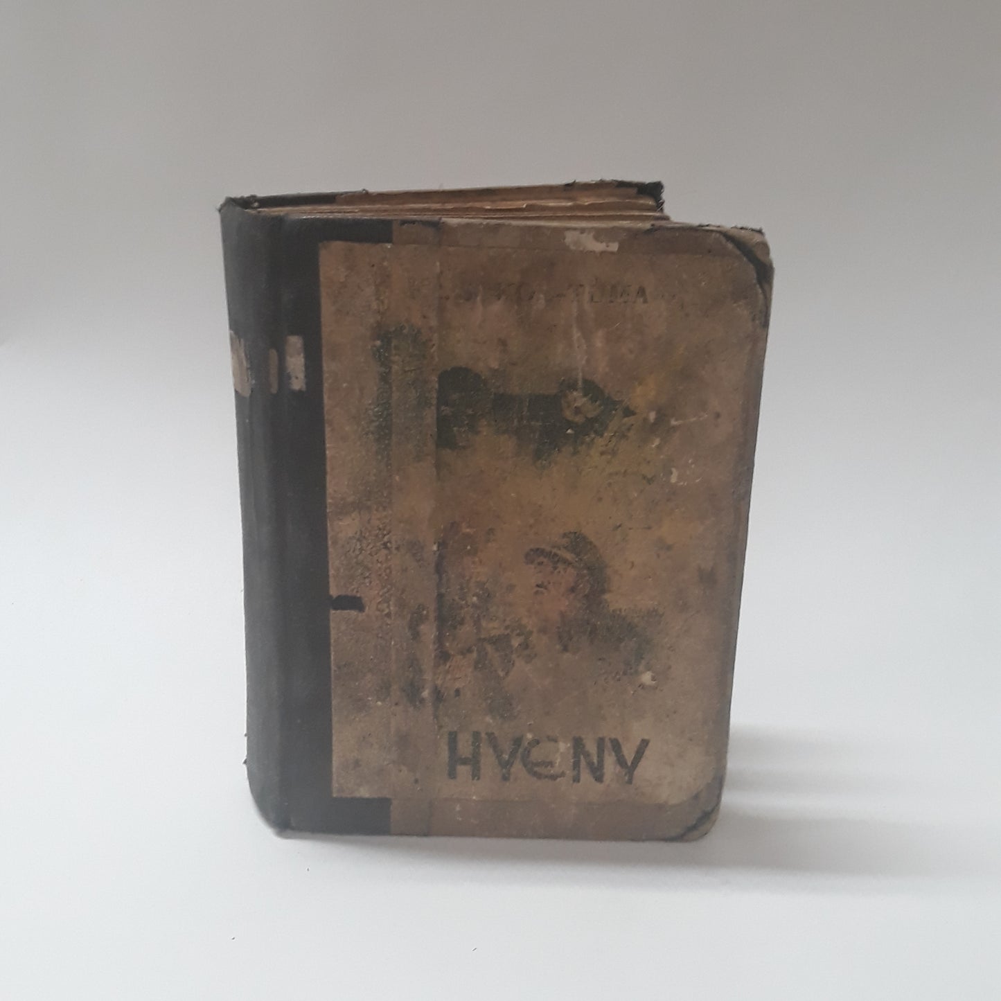Hyeny