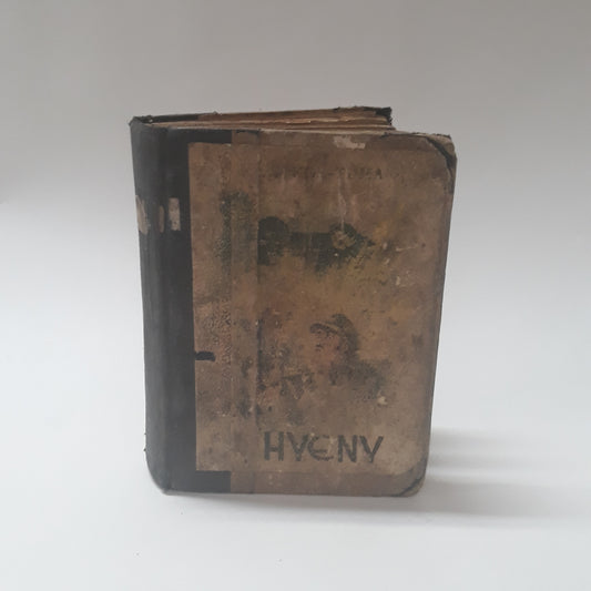 Hyeny